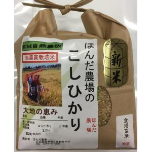 令和5年産 新米 無農薬栽培栽培米 こしひかり 玄米 1,5kg   自然農法  「大地の恵」米｜hondanojo