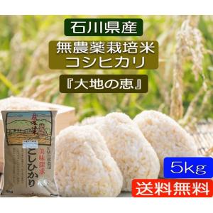 コシヒカリ 令和7年産 無農薬栽培米 こしひかり 白米 10kg お米 自然