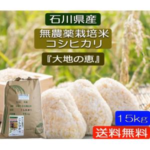 コシヒカリ 令和7年産 無農薬栽培米 こしひかり 白米 10kg お米 自然