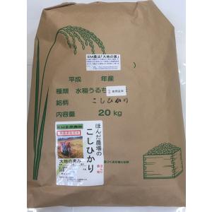 コシヒカリ 令和7年産 新米 石川県産 辻本さんの特別栽培米 食用 玄米