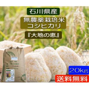 米づくりが大きく変った！ ７年産コシヒカリ 元気な玄米10kg 特別栽培①無農薬 コシヒカリ 令和7年産 無農薬栽培米 こしひかり 白米 10kg お米 自然