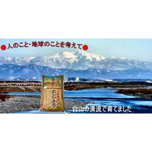 令和7年産 新米 無農薬 有機米 こしひかり ...の詳細画像1