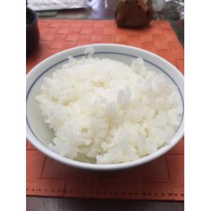 令和7年産 新米 無農薬 有機米 こしひかり ...の詳細画像5