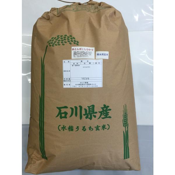 令和5年産 新米 加賀百万石 こしひかり エコ栽培米 石川県産 新米  赤とんぼ  食用 玄米 20...