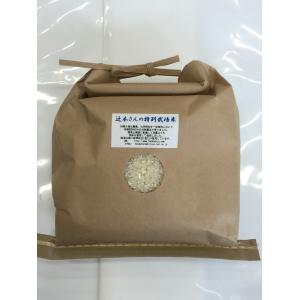 コシヒカリ 令和7年産 新米 石川県産 辻本さんの特別栽培米 白米 20kg
