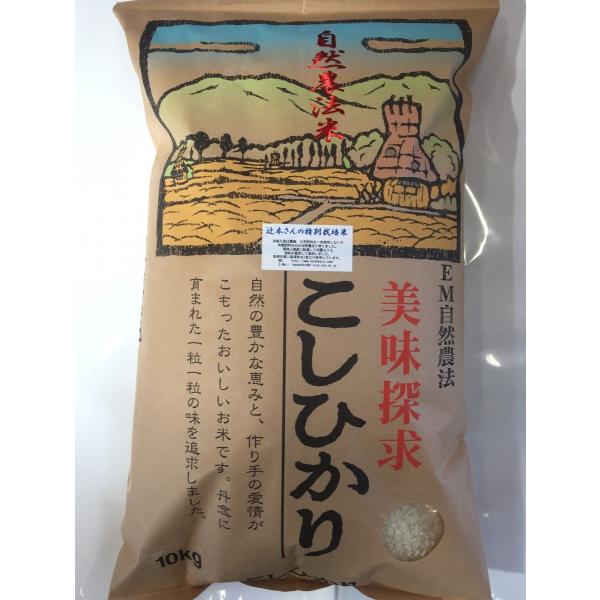 令和5年産 新米 石川県産 辻本さんの特別栽培米 コシヒカリ 白米 10kg