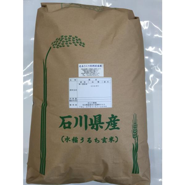 令和5年産 新米 石川県産 辻本さんの特別栽培米 コシヒカリ 白米 20kg