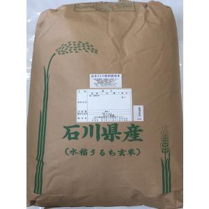 コシヒカリ 令和7年産 新米 石川県産 辻本さんの特別栽培米 食用 玄米