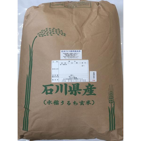 令和5年産 新米 石川県産 辻本さんの特別栽培米 コシヒカリ 食用 玄米 30kg