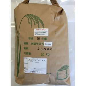 令和3年産 新米 加賀厳選米 ゆめみづほ 食用玄米 20kg