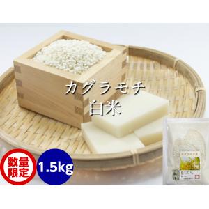 カグラもち白米1,5kg