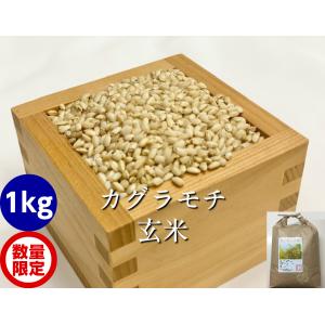 カグラもち玄米1kg