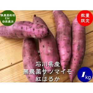 無農薬 EM農法 わけあり 紅はるか（さつまいも）１袋１kg サツマイモ｜hondanojo