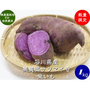 有機栽培 【JAS認証】 EM農法 わけあり 紫いも（さつまいも）１袋１kg サツマイモ｜hondanojo