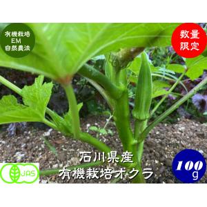 初売り 有機栽培オクラ100ｇ