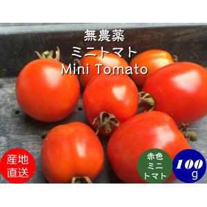 無農薬完熟薄皮ミニトマトピンキー 100ｇ Leprincenoir Restaurant Fr