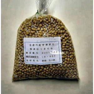 無農薬栽培大豆１００ｇ｜hondanojo