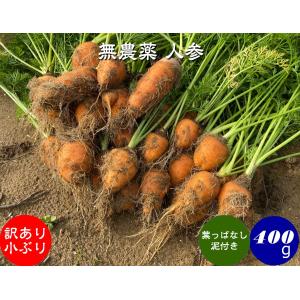 無農薬 EM農法 わけあり 人参　小ぶり 【葉なし泥付き】（にんじん）１袋 ４００ｇ｜hondanojo