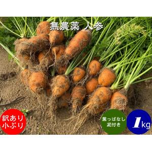 無農薬 EM農法 わけあり 人参 小ぶり 1袋 1kg