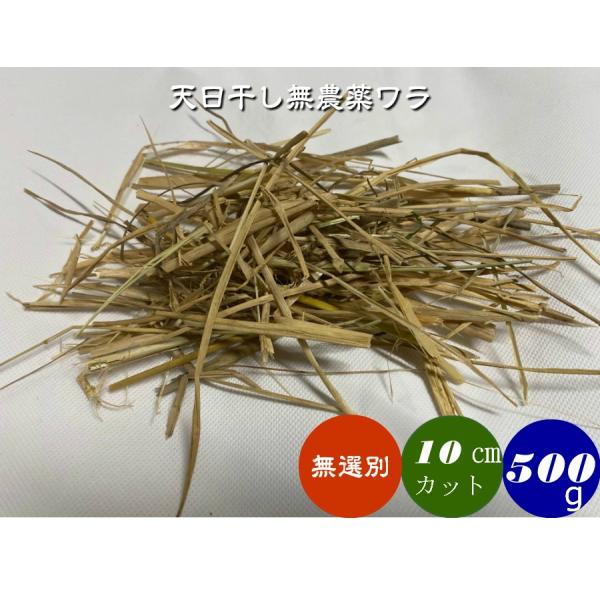 無農薬、有機栽培稲わら  無選別カット ５００ｇ　１０ｃｍ前後に細かくカット 送料別 藁 ワラ