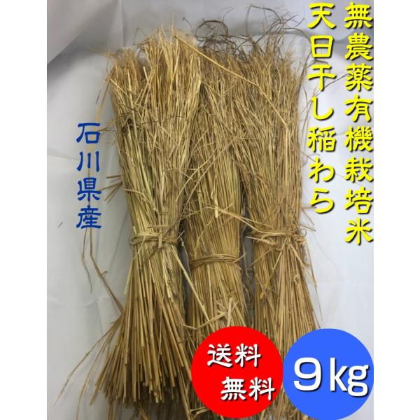 無農薬 有機栽培天日干し 稲ワラ９kg   （約３０束）  藁 ワラ