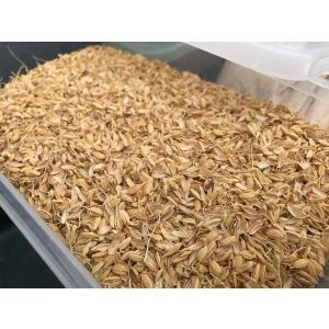 もみがら 3kg エコ栽培米の籾殻 農業資材 ...の詳細画像3