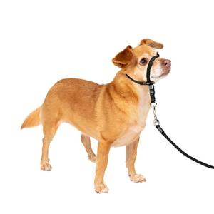 PetSafe ジェントル リーダー ヘッドカラー クイックリリース プチサイズ