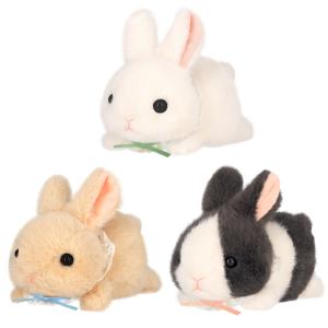 hondastore_3a-cimo-hai