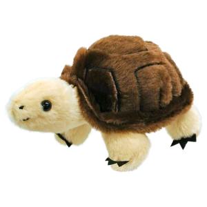 Animal Friends（アニマルフレンズ） ぬいぐるみ リクガメ お手頃 景品