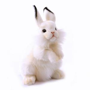 ハンサ【HANSA】ぬいぐるみ 白うさぎ30 ウサギ うさちゃん