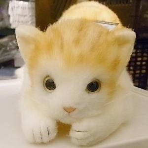 トラネコ 茶 L 童心 日本製リアルシリーズ ぬいぐるみ 猫 ネコ｜hondastore