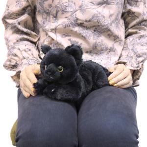 ひざねこ SSサイズ ブラック 子猫サイズ 黒 猫 ぬいぐるみ ねこ ネコ サンレモン｜hondastore