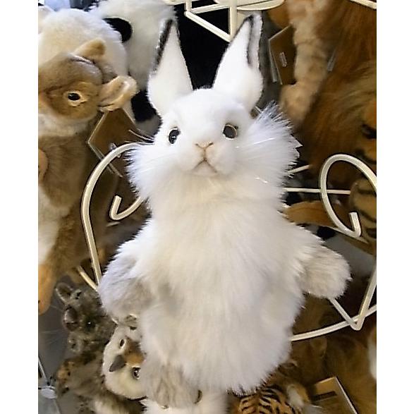 HANSA ハンドパペット シロウサギ 7156  RABBIT　PUPPET