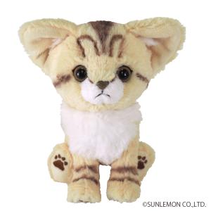 キトン キジトラ ぬいぐるみ Sサイズ 猫 サンレモン : HONDA STORE