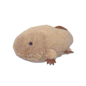 西陣織 オオサンショウウオ ぬいぐるみ 金 : 京都水族館 オンライン