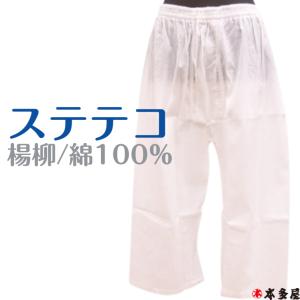 楊柳 ステテコ すててこ 前開き メンズ 男衆 綿100％ ようりゅう インナー 和装下着 和装肌着 着物下着 着物肌着 M L LL 3サイズ 単衣 夏 着物 浴衣 作務衣