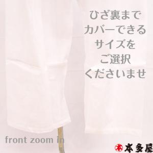楊柳 ステテコ すててこ 前開き メンズ 男衆...の詳細画像3