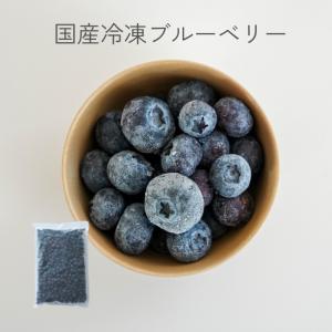 国産、無農薬の冷凍ブルーベリー1kg(500g×2) 農薬・除草剤不使用、洗い