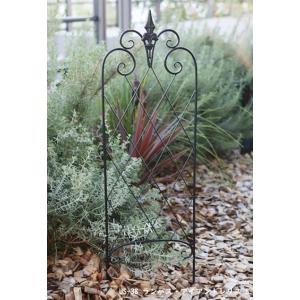 ランバス・アイアントレリス S　2枚