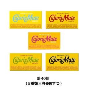 カロリーメイト 40個 大塚製薬 カロリーメイト ブロック 2本入り 12個セット（チョコ