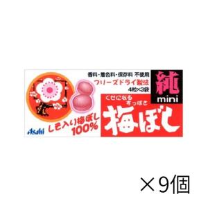 アサヒ 梅干し純ミニ 12粒 ×9個