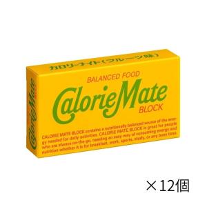 大塚製薬 2本カロリーメイト ブロック チーズ ×12個 栄養補助食品