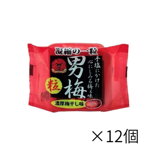 ノーベル 男梅粒 濃厚梅干し味（容器タイプ）　14g 　× 12個