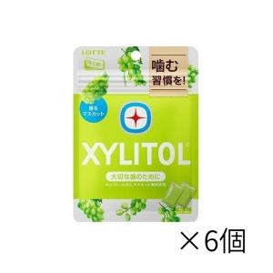 ロッテ キシリトールガム マスカットミント パウチ 23G　×6個