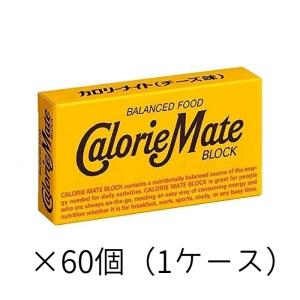 大塚製薬 カロリーメイト チョコレート味　２本✖️60✖️２ケース 大塚製薬 2本入カロリーメイト チョコレート ×60個 栄養補助食品