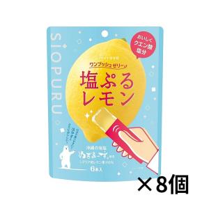 井村屋 ワンプッシュゼリー 塩ぷるレモン 90ｇ（15ｇ×6本）　×8個