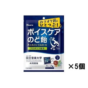 Kanro（カンロ） ボイスケアのど飴 個包装タイプ 70g×5袋セット (最短