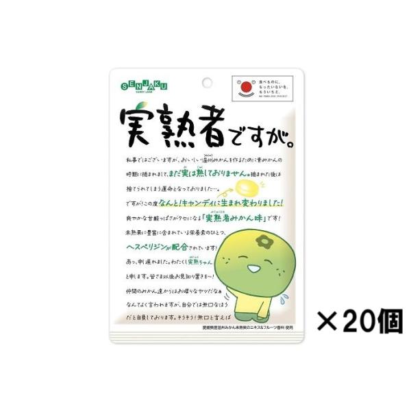 扇雀飴本舗 実熟者ですが。 65g ×20個