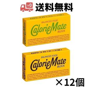 カロリーメイト2箱専用 カロリーメイト ブロック チーズ味2本入り| 【大塚製薬の公式