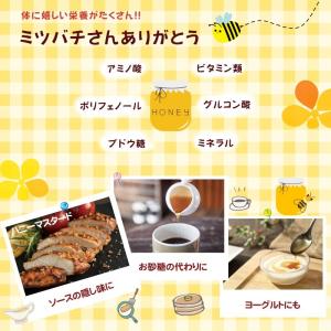 国産純粋百花はちみつ 600g 国産はちみつ ...の詳細画像1